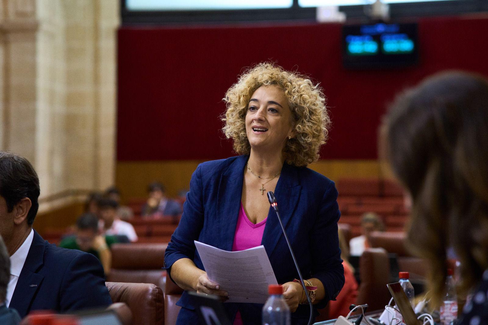 El PP llama a la tranquilidad de los jvenes de Granada, garantizndoles el cobro ntegro del Bono de Alquiler Joven
